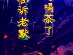 -水木谷养生水汇