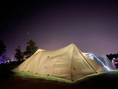 -春花秋色城市公园