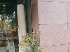 -青藤茶馆(凤起路店)