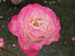 -牛岗山公园
