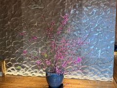 -鹤菊·鮨Omakase(古子城店)