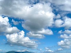 -深圳湾公园(南山区)