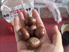 -二斗栗子(黄河道店)