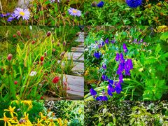 -白草畔自然风景区