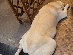 -朕悦鹧鸪饭私房菜