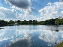 -上海共青森林公园