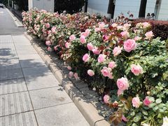 -大连人民广场