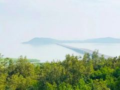 -苏州海洋馆