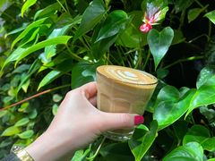 -Peet's Coffee皮爷咖啡(大学路店)