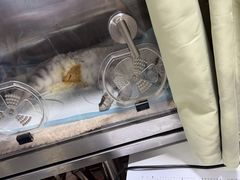 -四月宠物医院·猫专科·心脏专科·内科(转塘店)