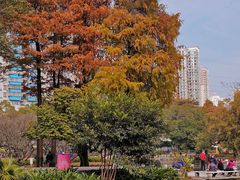 -晓港公园