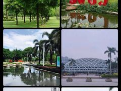 -文华公园(禅城区)