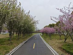 -阳澄湖半岛旅游度假区