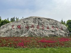 -上海海湾国家森林公园