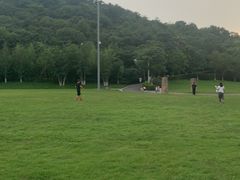 -羊山湖公园
