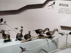 -武汉园博园(武汉自然博物馆)