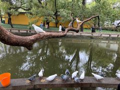 -西园戒幢律寺