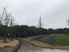 -东方绿舟宾馆·停车场