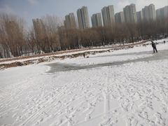 -丁香湖公园