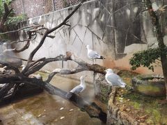 -广州长隆飞鸟乐园