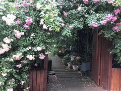 -谷咖啡·鲜花绿植花园餐厅