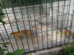 -竹泉村旅游度假区