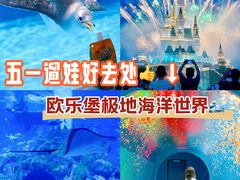 -泉城欧乐堡海洋极地世界