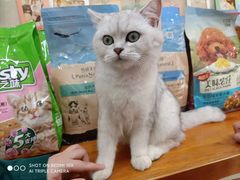 -仁华宠物医院(青羊店)