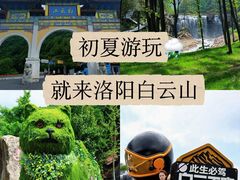 -洛阳白云山景区