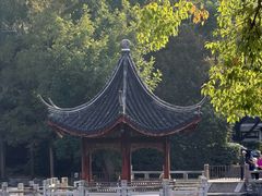 -汇龙潭
