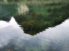 -靖西鹅泉风景区