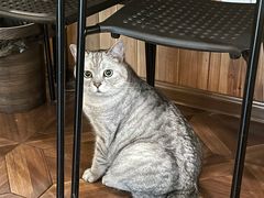 -隅cafe(傅厚岗店)