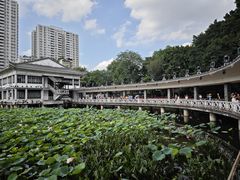 -荔湾湖公园