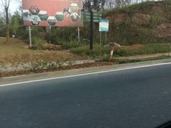 -灵山景区梯田