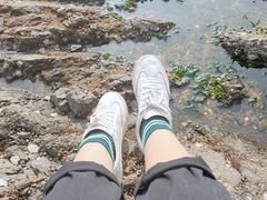 -黑石礁公园