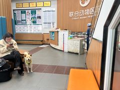 -联合动物医院(光谷诊疗中心)