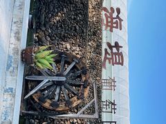 -海堤葡萄园中小学生研学基地