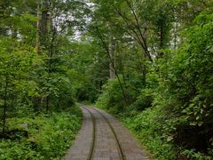 -五营红松林海景区