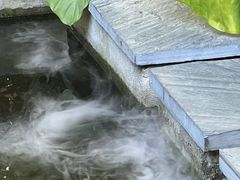 -漫笙舍Manse·咖啡·民宿