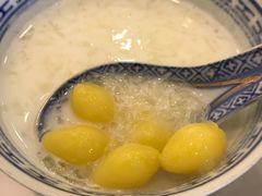 -大中鱼翅 Taitong Shark Fin