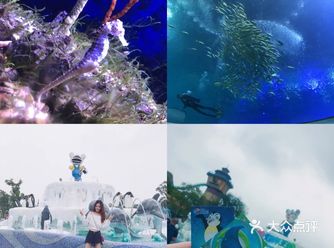 珠海长隆海洋王国 趁着在生日的时候和小伙伴一起去了珠