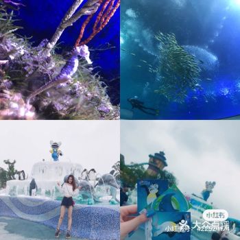 珠海长隆海洋王国 趁着在生日的时候和小伙伴一起去了珠