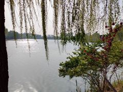 -河北省园博园