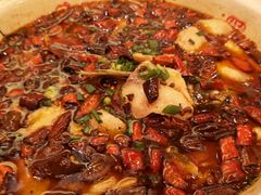 -陈麻婆豆腐总店