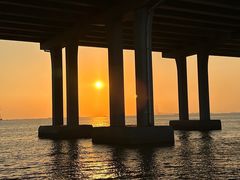 -宝安西湾红树林湿地公园