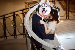 -上海虹桥锦江大酒店·宴会厅