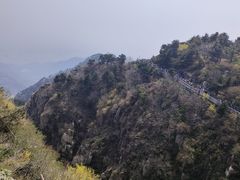 -泰山风景名胜区