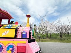 -上海滨江森林公园