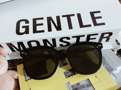 -GENTLE MONSTER(西安SKP店)