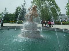 -洛阳郁金香牡丹园